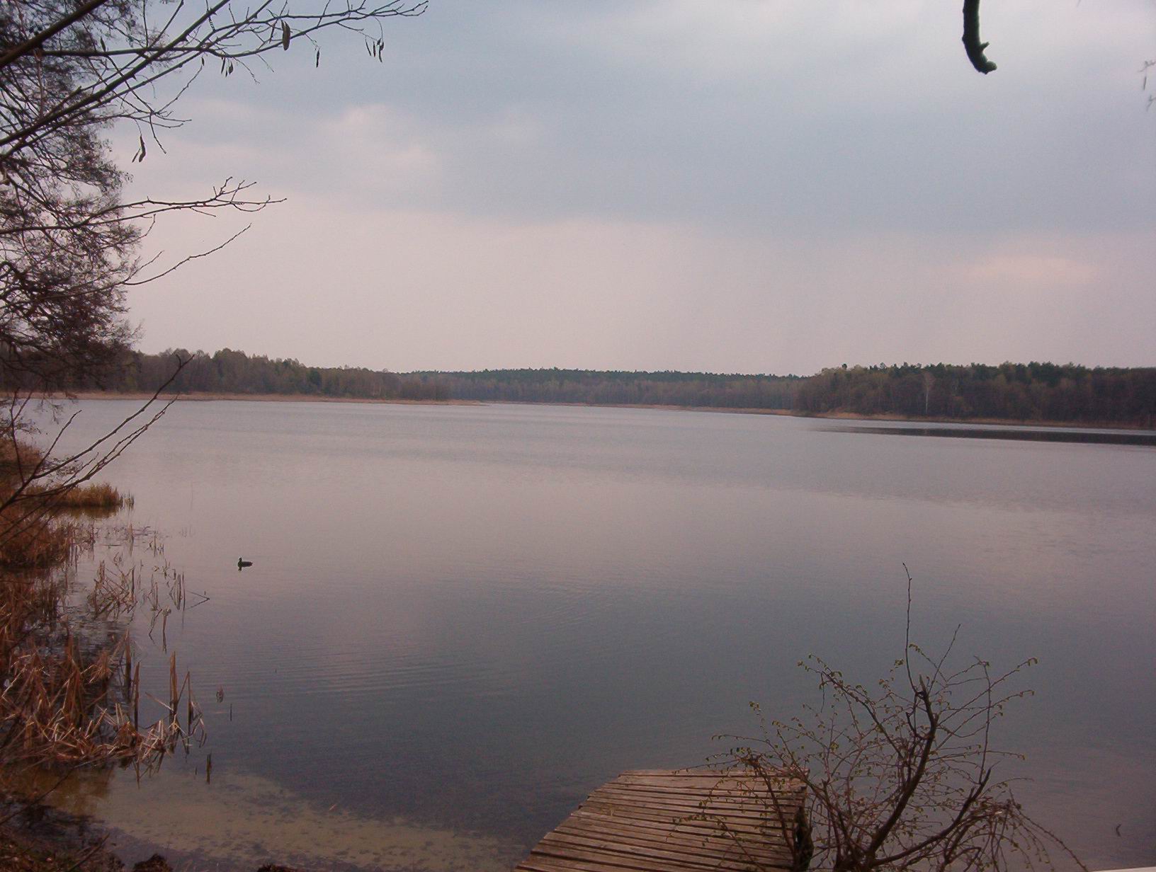 skorzecin_kwiecien_2004 084